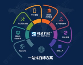 MT4平臺提供商、購買成本及網站建設維護全解析